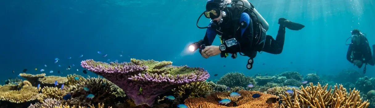 Liveaboard Diving Cruise in Similan Islands | Book Now